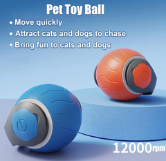 Pet Smart Ball Toy