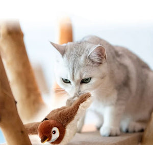 Pet Supplies