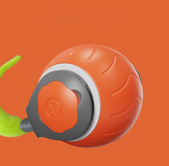 Pet Smart Ball Toy